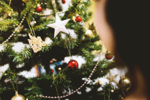 real christmas trees sydney nsw rotary club of real christmas trees sydney nsw rotary club of