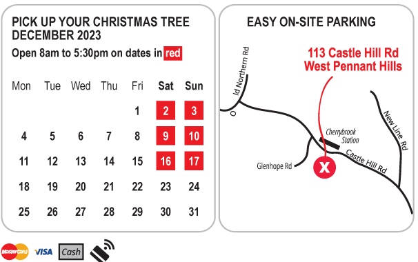 Real Christmas Trees Sydney 2023 Dates and Location