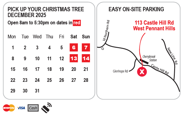 Dates and Location of Real Christmas Tree Sale in Sydney 2025